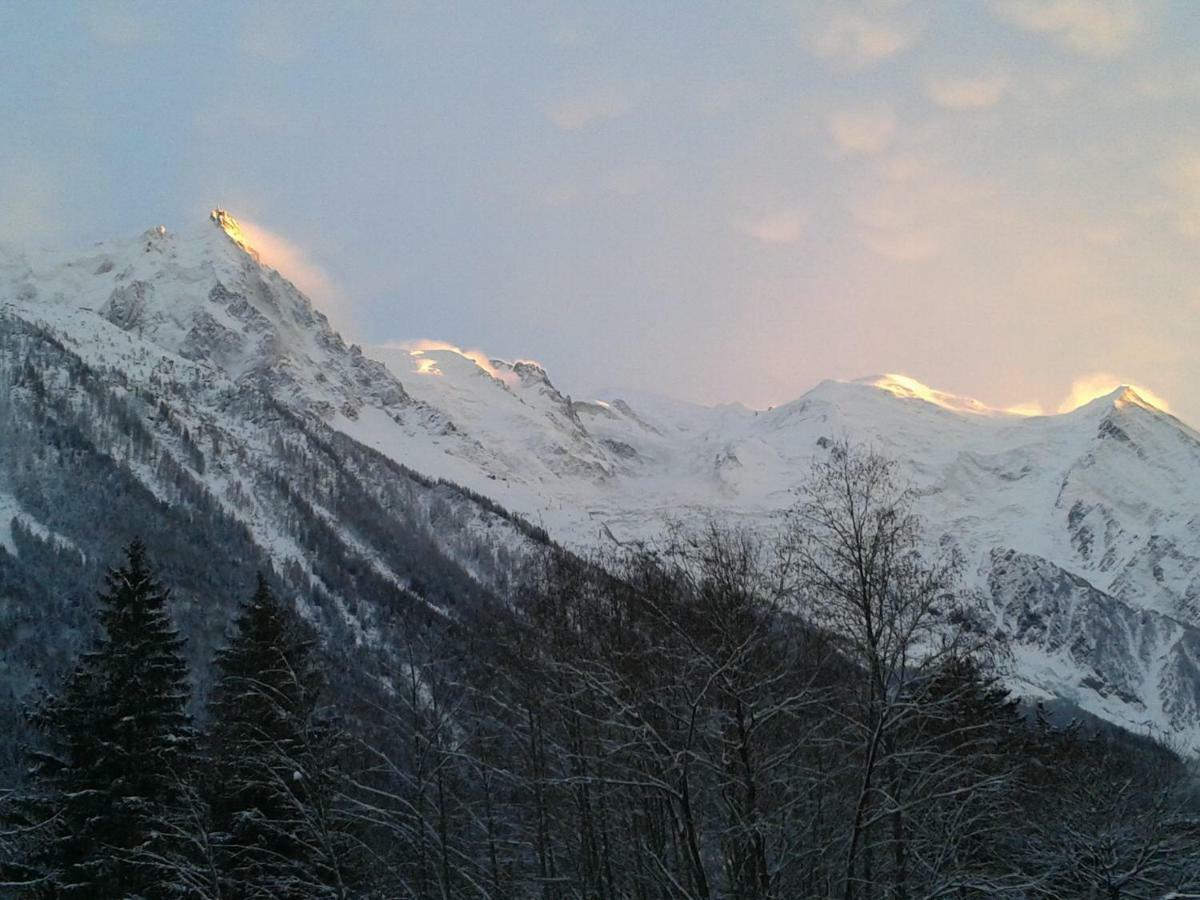 Appartement Capucine Chamonix Exterior photo